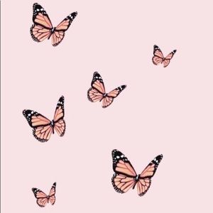 Meet your Posher, Belle